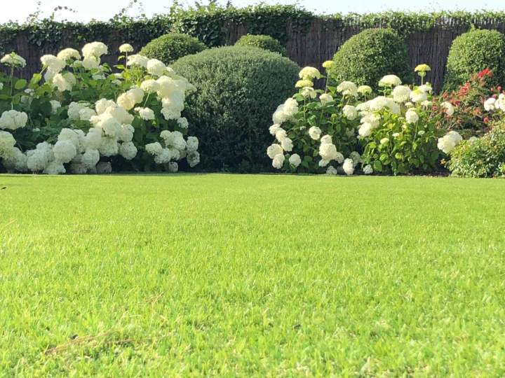 Travaux de paysagisme près de Vannes